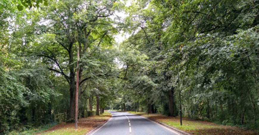 This Sunday Gledhow Valley Road will be closed for most of its 1.5km length for the @friendsofgledhowvalleywoods Green Fair, a unique opportunity for the local community to come together to enjoy Gledhow Valley Woods without the noise and pollution associated with a busy road. Sunday 14 July, 11am - 4pm find out more on our blog - see link in link.tree in bio #whatsoninleeds