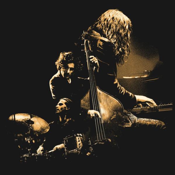 Dramatically lit in high contrast shadows, a central double bass player is flanked either side by a drummer and long-haired pianist.