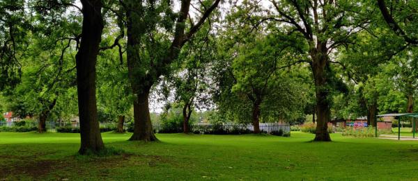 A photo of a park. 