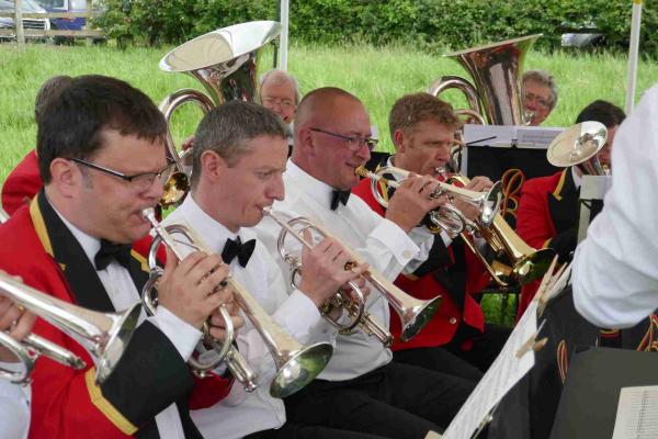 Musicians performing in a brass band. 