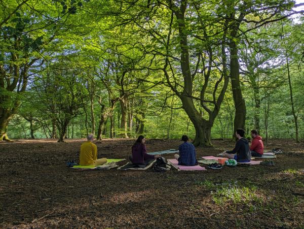 Yoga students sat on yoga mats laid out in a semi-circle within a beautiful green woodland.