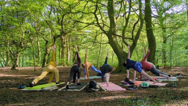 A group of adults practising yoga in a sunshine-filled spring woodland