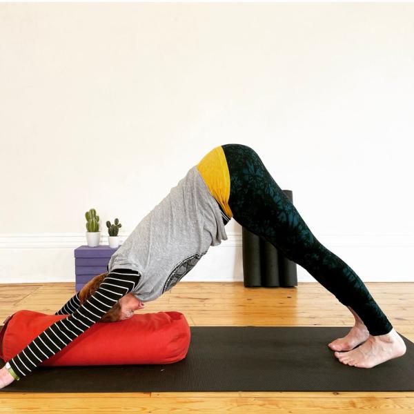 Hatha & Restortive Workshop