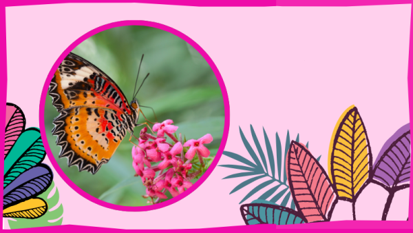 Image of butterfly with flower and leaves.