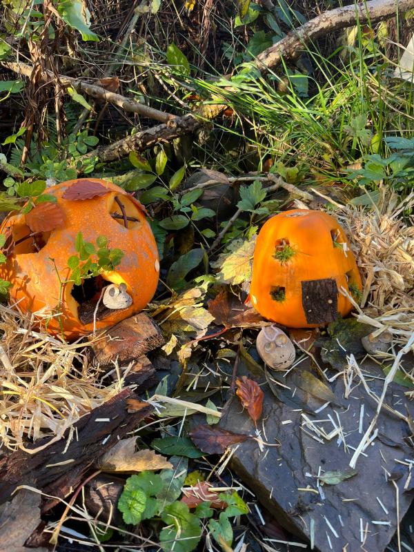 Two pumpkins have been carved as houses with windows and doors made out of twigs, bark and moss. Mice made of stones sit in each doorway 