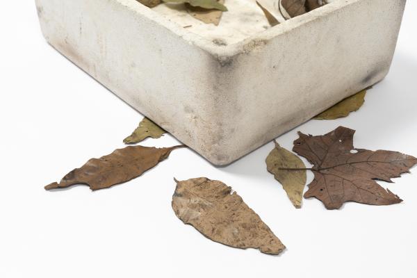 Sculpture of leaves scattered around a polystyrene box