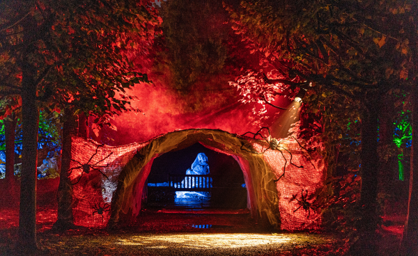 Dark tunnel with overhanging trees light with red lighting. In the distance a blue lit garden feature.