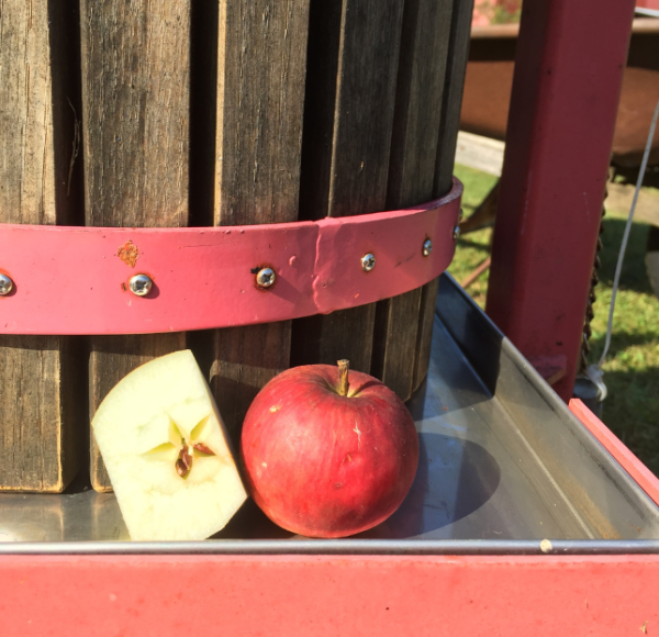 Apples and apple press