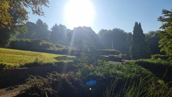 A sunlit picture of a garden in daylight with green trees and bushes,