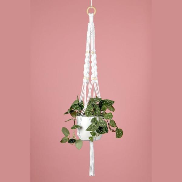 A cream macrame plant holder, with a white plant pot and green leafy plant against a dusty pink background