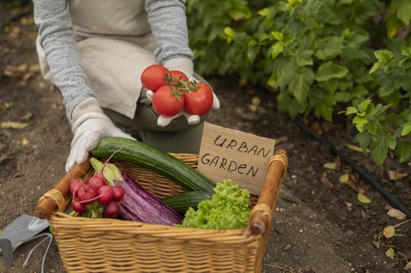 basket of vegetables with a gardener in the background