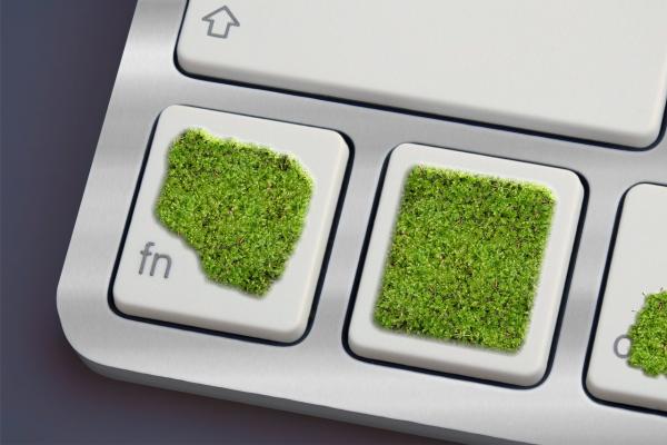 Computer Keyboard with moss growing on it.