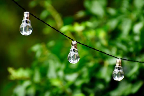 Light bulb string with a hedge in the background