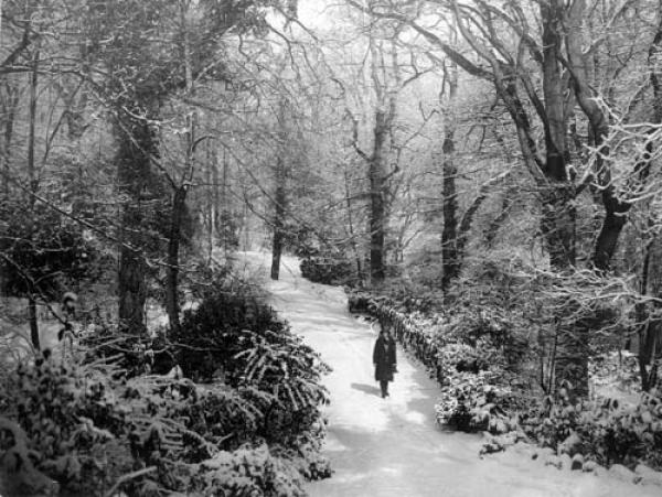 Black and white photograph of woods in Roundhay Park.