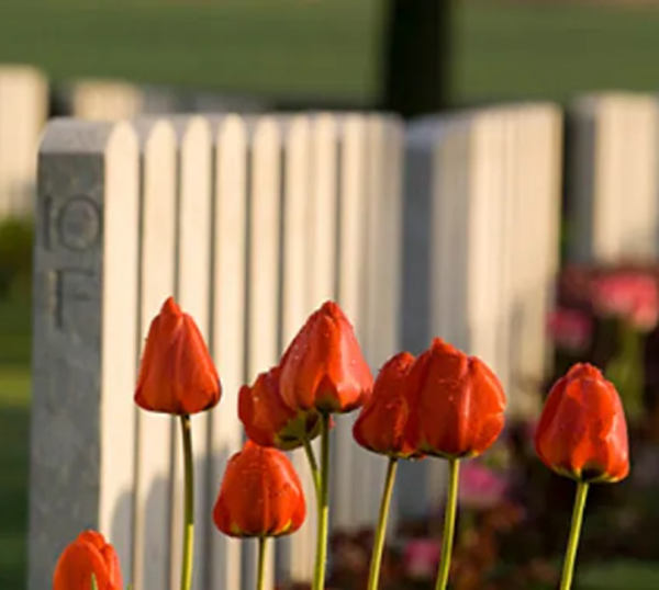 War Graves and flowers