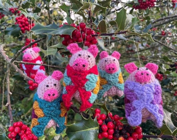 Knitted pigs hanging in a Holly Bush 