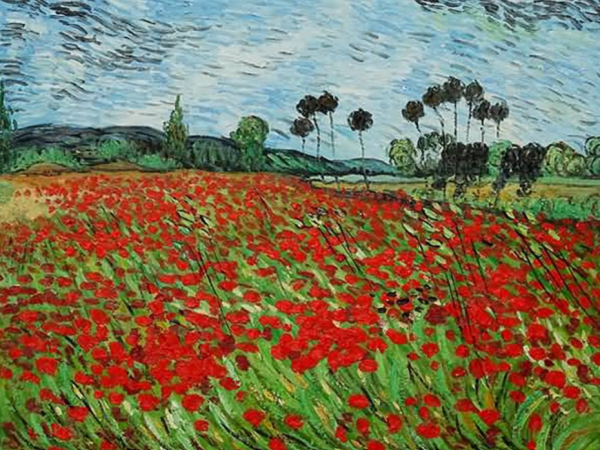 The image is a large field filled with red poppies. The sky is a faded blue with white clouds and the trees are of varying shapes in the very distance of the picture. You can also see the green stems of the poppies too.