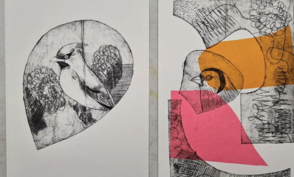 Printed black and white images of birds, with pink and orange sections of colour.