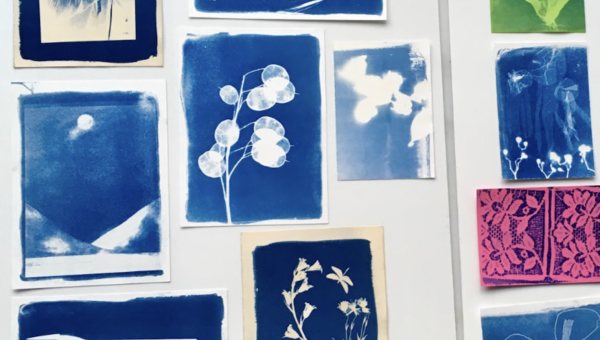 A selection of cyanotype prints of various designs