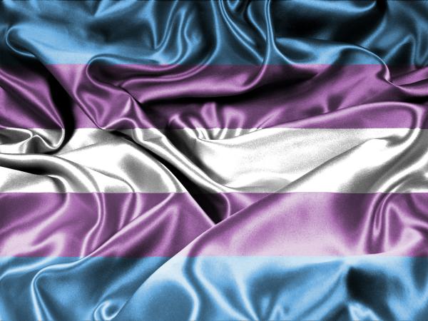 the trans flag