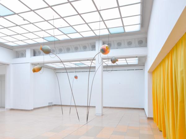 Art installation in a gallery