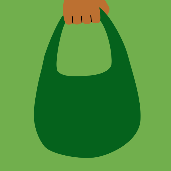 Image of hand holding green shopping bag