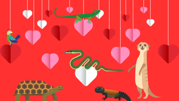 Paper hearts with Tropical World animal illustrations