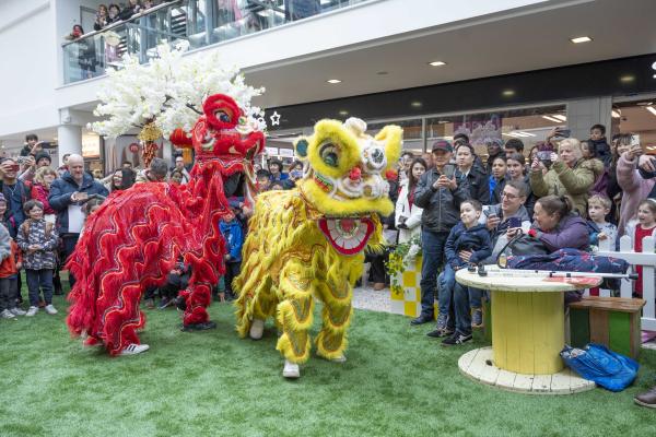 Chinese dragons in red and yellow performing for a crowd