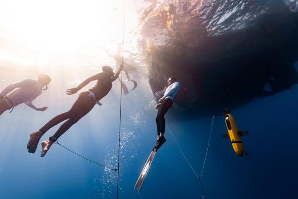 A woman freediving, ascending to the surface accompanied by two safety divers.