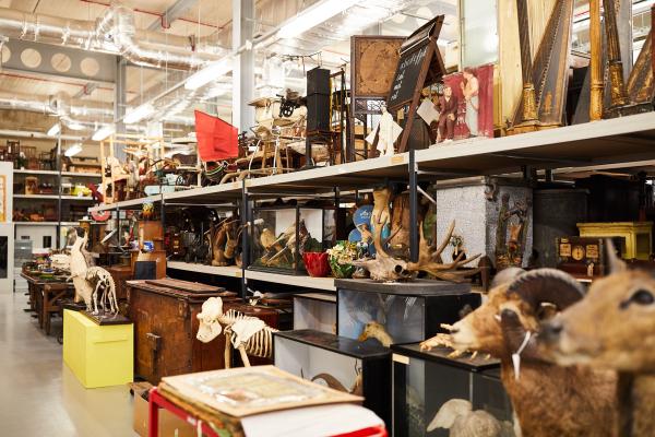 Interior of the collections store. Museum objects on shelves. 