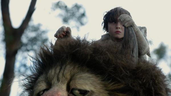 A boy with brown hair sits on top of the head of a hairy monster while holding the monsters horns