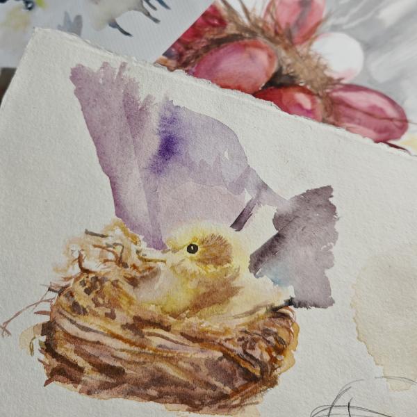 A watercolour painting of a yellow chick in a brown nest