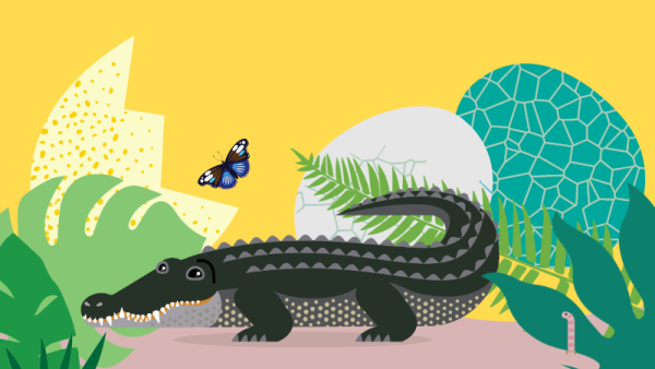 Illustrative image of Crackle the Crocodile at Tropical World