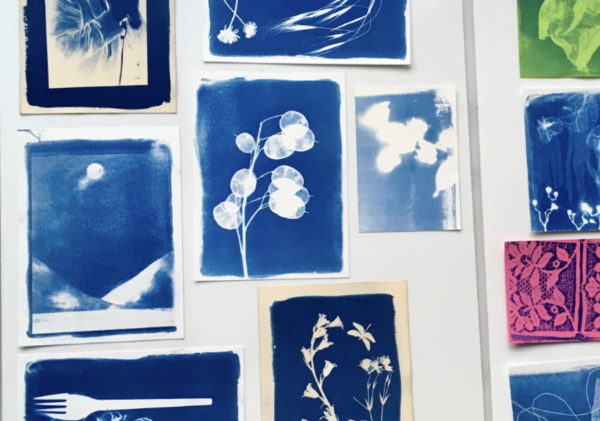 A collection of blue cyanotype prints including imagery of flowers, plants and a fork.