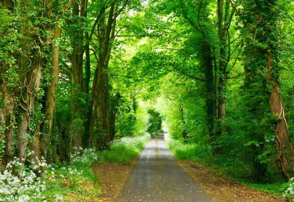 Photo by Studio Dekorasyon on Unsplash