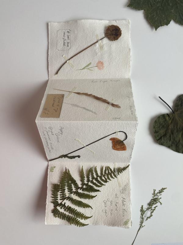 Paper with flowers and plants taped on, with handwritten notes.