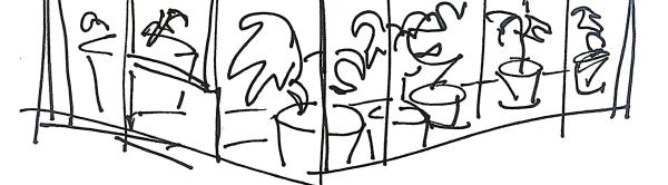 Drawing of a greenhouse with plants