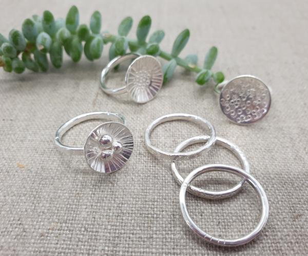 6 silver rings photographed on a grey fabric cloth with a green succulent plant behind them