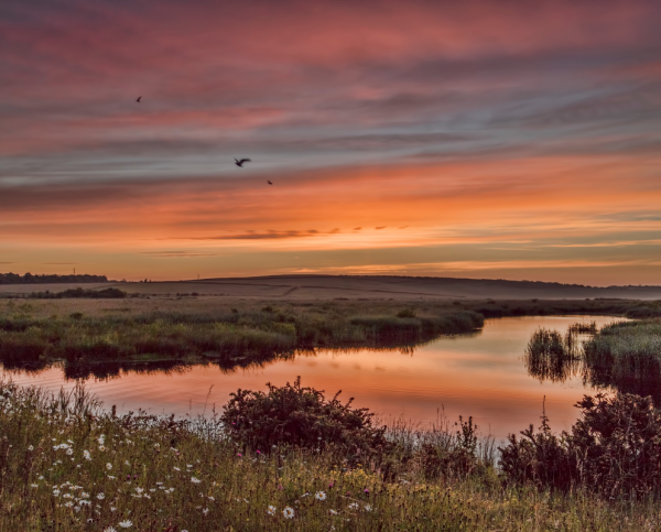 Image shows RSPB St Aidan's at sunset with the orange sky reflected in the water around the reedbeds and some birds flying above it