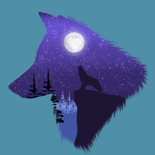 A illustrated image of the outline of a wolf with another wolf howling at a moon within this the colours are purples, blues, whites
