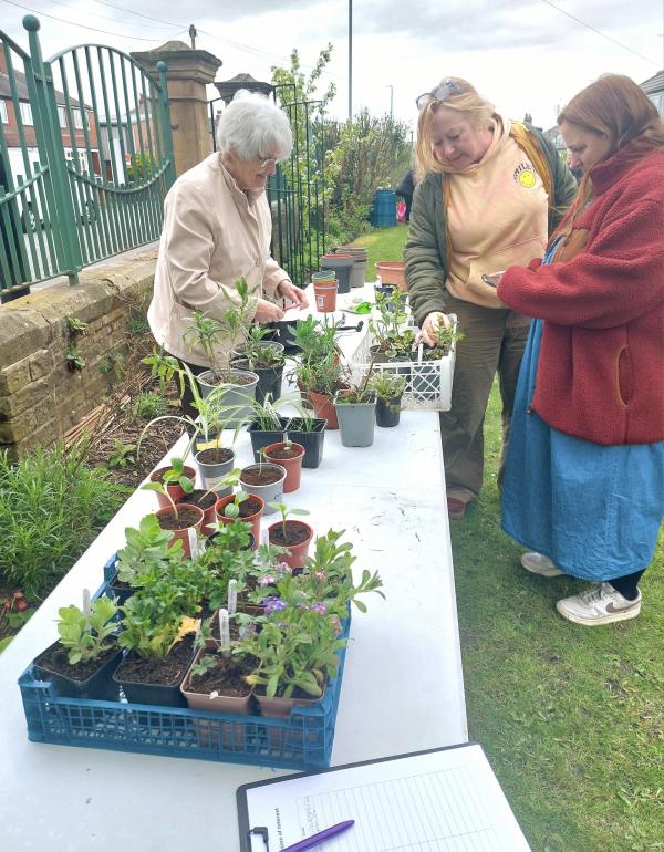 Bramley Baths garden launch plant swap event