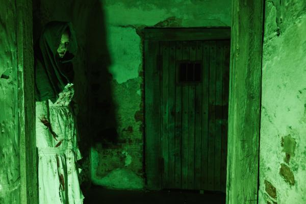 Night-vision style photograph of a shadowy figure in an old cellar