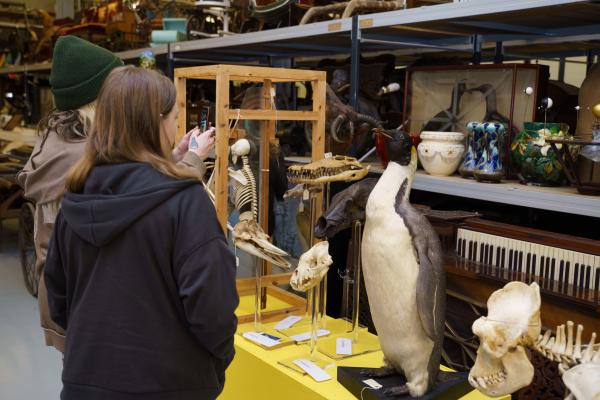 Two people looking at a taxidermy penguin and other items in Leeds Discovery Centre's collection store
