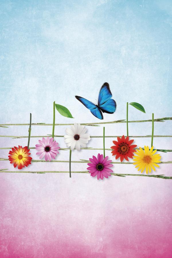 Yellow, pink and white flowers as music notes on a plant stem stave underneath a blue butterfly.
