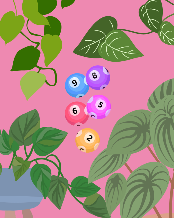 Illustration of plants and bingo balls