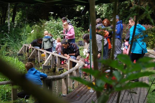 A group of people on the platform by the pond.
