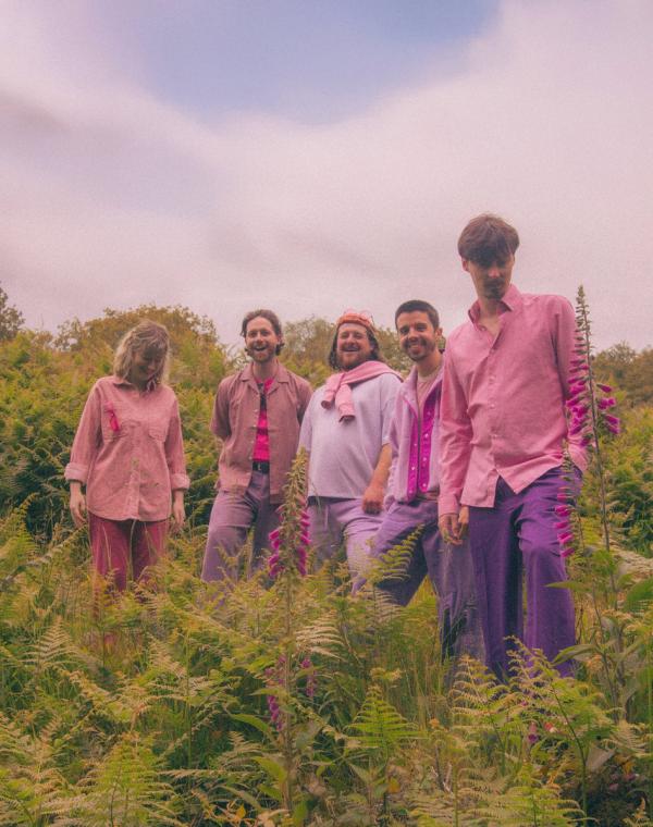 Pocket Sun in field