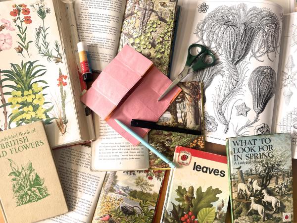 A selection of nature-related books with scissors, pens and paper.