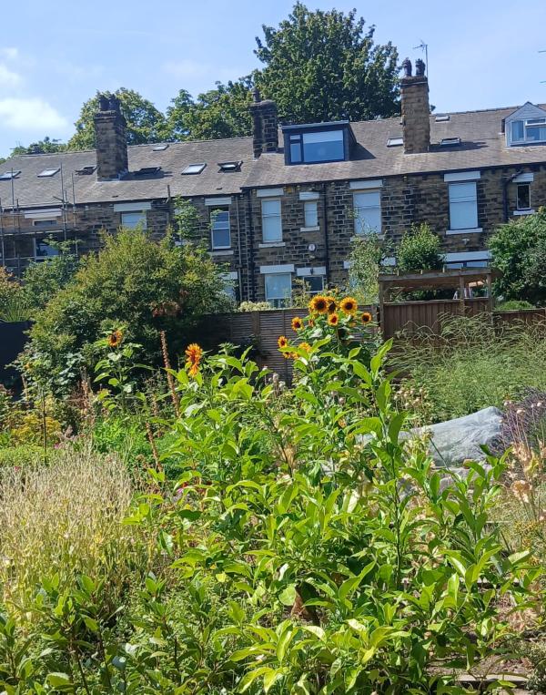 St Mary's Rooftop Garden