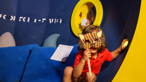 A child wearing a tiger mask.
